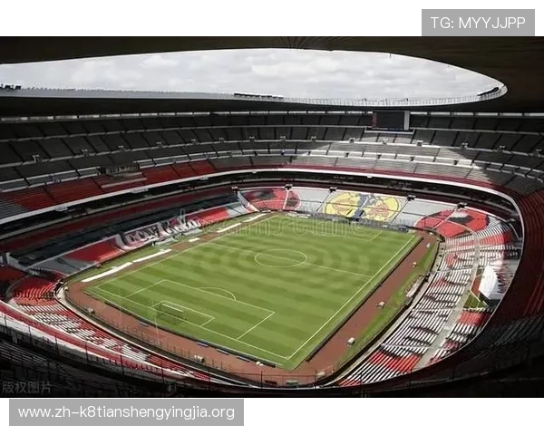2026年世界杯比赛地点确定的最新消息，未来举办城市的详细介绍与分析